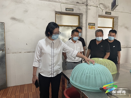 廖東梅到長坪鄉(xiāng)完小、平頭鎮(zhèn)完小等地督導疫情防控工作