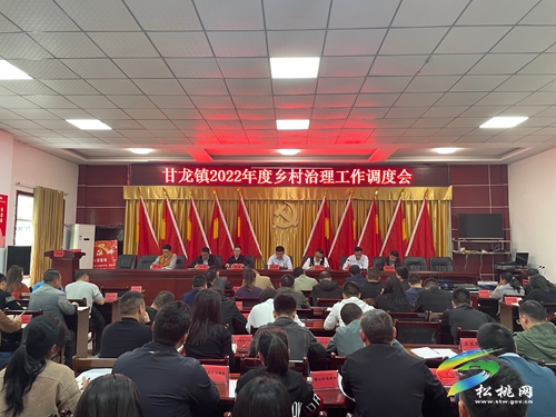 甘龍鎮(zhèn)：黨建引領“三步走”，助力鄉(xiāng)村 治理邁上新臺階