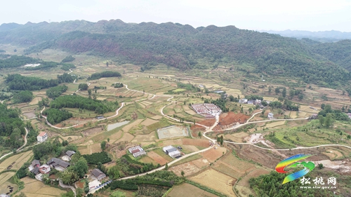 盤信鎮(zhèn)：高標(biāo)準(zhǔn)農(nóng)田建設(shè)忙