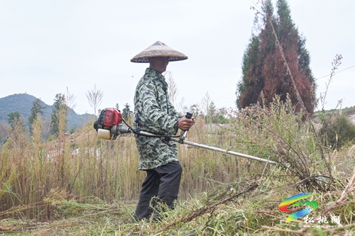 盤信鎮(zhèn)：高標(biāo)準(zhǔn)農(nóng)田建設(shè)忙