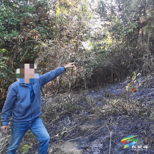 零容忍！松桃嚴(yán)懲4起違規(guī)野外用火行為