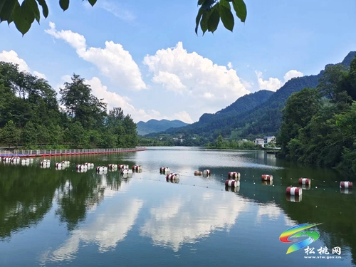 文明實(shí)踐典型案例 ?｜齊“新”協(xié)力