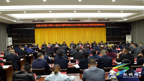 縣委鄉(xiāng)村振興領(lǐng)導(dǎo)小組會議召開