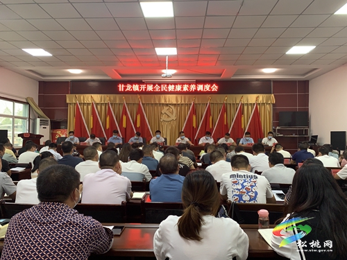 甘龍鎮(zhèn)：強化“三個保障”，為健康生活保駕護航