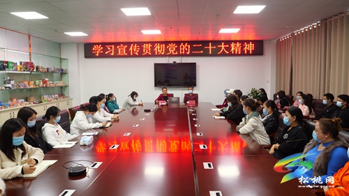 松桃“理論專家+省黨代表”進(jìn)廠區(qū)宣講黨的二十大精神