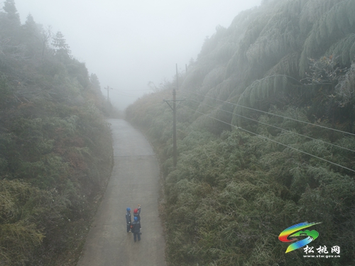 松桃：應(yīng)對(duì)寒潮雨雪天氣 線路巡維保供電