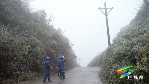 松桃：應(yīng)對(duì)寒潮雨雪天氣 線路巡維保供電