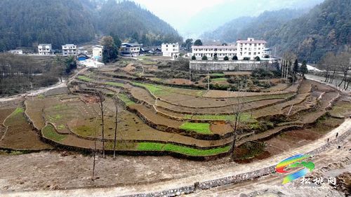 冷水溪鎮(zhèn)：推進高標(biāo)準(zhǔn)農(nóng)田建設(shè)?提高糧食生產(chǎn)能力