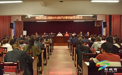 松桃苗族自治縣人民醫(yī)院：堅持“三嚴(yán)”推動“三落實”　全面開創(chuàng)醫(yī)院黨風(fēng)廉政建設(shè)新局面