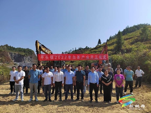 平頭鎮(zhèn)：聚焦“五大振興”，描繪平頭畫卷