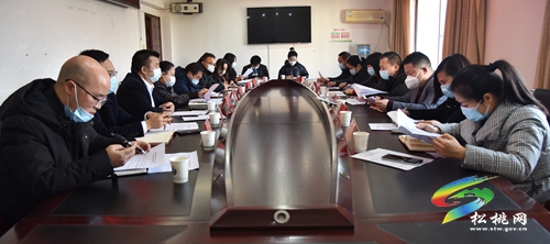 松桃召開黨外代表人士座談會(huì)