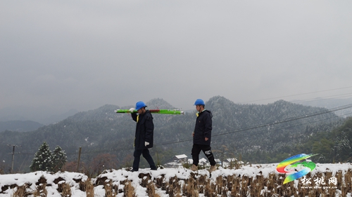 松桃供電局：踏雪巡線保供電