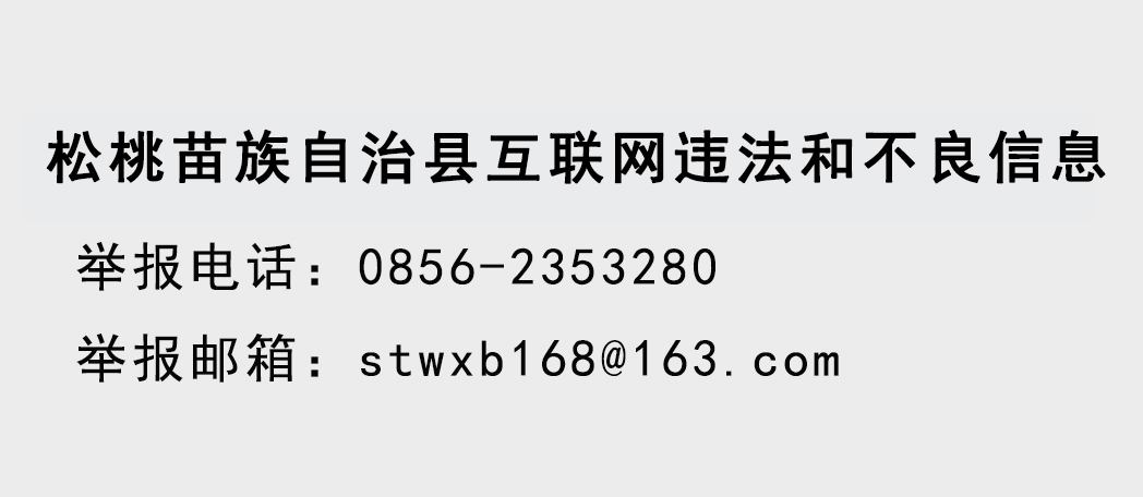 龍群躍到正大鎮(zhèn)調(diào)研“文明在行動?滿意在松桃”工作