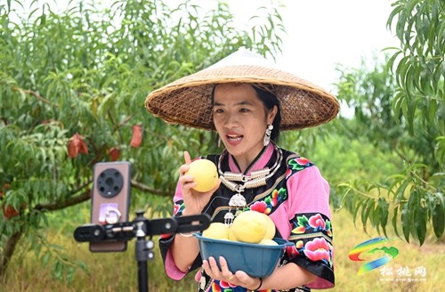 松桃：網(wǎng)紅達(dá)人齊助農(nóng) 云端銷售促增收