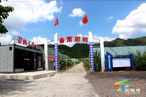 返鄉(xiāng)創(chuàng)業(yè)余永紅，發(fā)展產(chǎn)業(yè)促振興