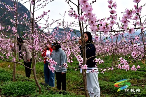 返鄉(xiāng)創(chuàng)業(yè)余永紅，發(fā)展產(chǎn)業(yè)促振興