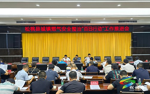 松桃苗族自治縣城鎮(zhèn)燃氣安全整治“百日行動”工作推進會召開