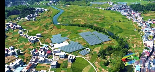 普覺鎮(zhèn)：雨露4萬余斤精品葡萄采摘了