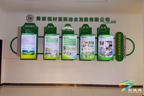 黃板鎮(zhèn)：“黨建+國有企業(yè)”助強(qiáng)村富民