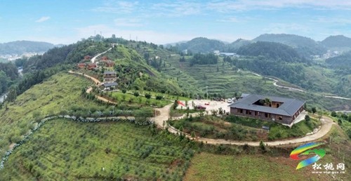 黃板鎮(zhèn)：“黨建+國有企業(yè)”助強(qiáng)村富民