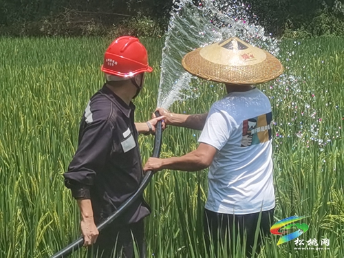 松桃供電局：高溫抗旱 保證供電
