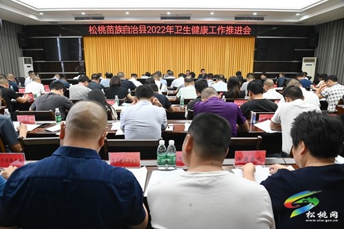 全縣2022年衛(wèi)生健康工作推進(jìn)會召開