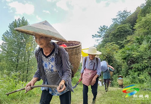 長(zhǎng)坪鄉(xiāng)董汝村:群眾修繕?biāo)?凝聚汗水換清泉