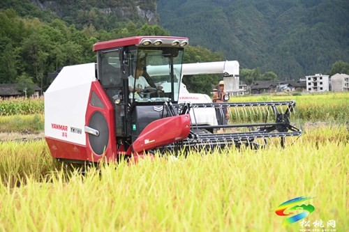 松桃：強(qiáng)村富民公司機(jī)械化助農(nóng)增收增產(chǎn)