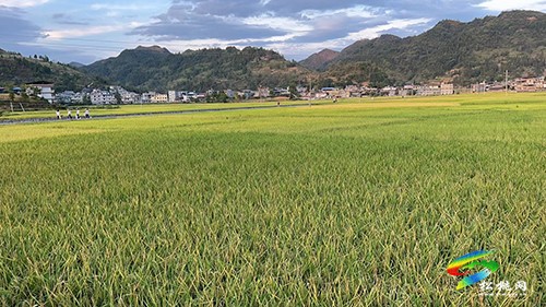 甘龍鎮(zhèn)：黨建引領(lǐng)“七個(gè)一”，推進(jìn)強(qiáng)村富民公司實(shí)體化運(yùn)行