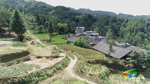 黃板鎮(zhèn)：強舉措戰(zhàn)高溫　持續(xù)做好森林防火工作