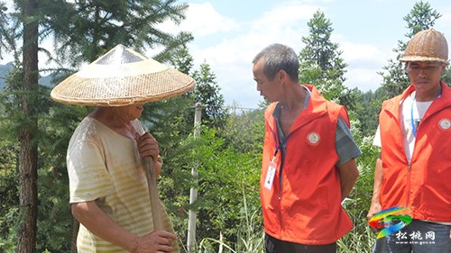 黃板鎮(zhèn)：強舉措戰(zhàn)高溫　持續(xù)做好森林防火工作