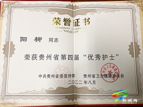 陽(yáng)柳：從醫(yī)路上展巾幗風(fēng)采