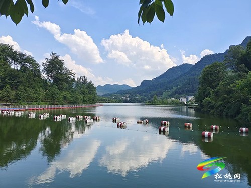 迓駕鎮(zhèn)：“三個舉措”樹新風(fēng)，移風(fēng)易俗入人心