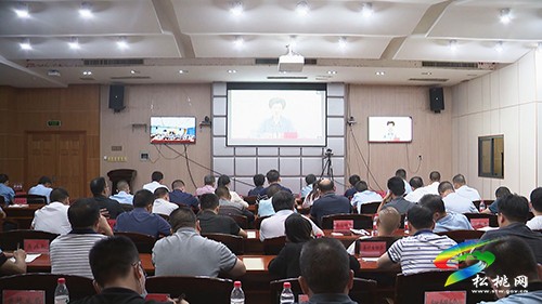 松桃收聽(tīng)收看全省巡視巡察工作會(huì)議暨十三屆省委第一輪巡視工作動(dòng)員部署電視電話會(huì)