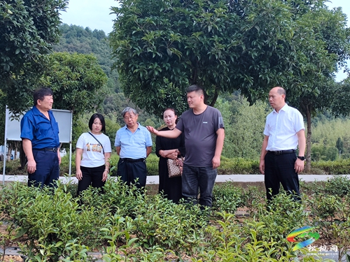 32名省市科技特派員在產(chǎn)業(yè)園“落戶”