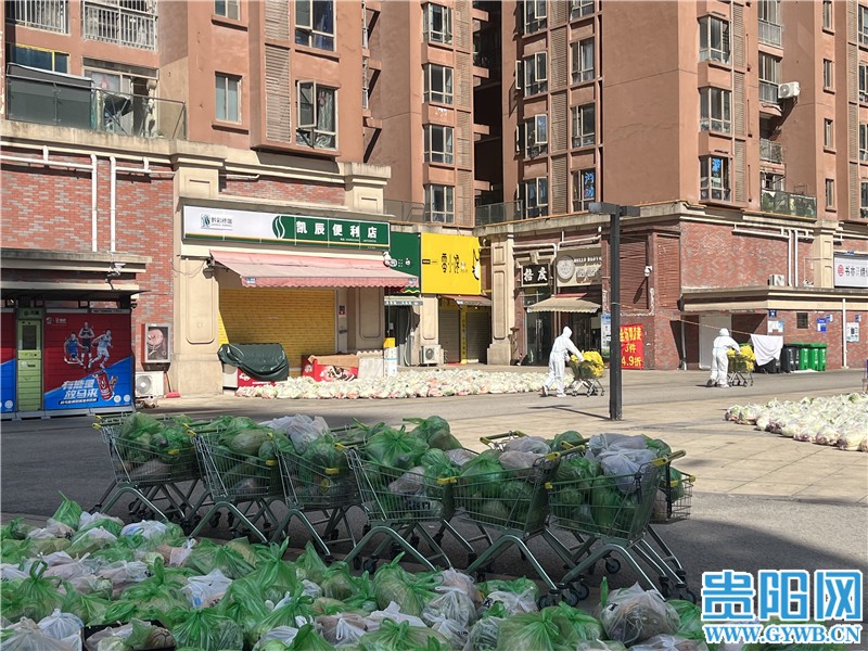 持續(xù)更新 | 直擊花果園物資分發(fā)