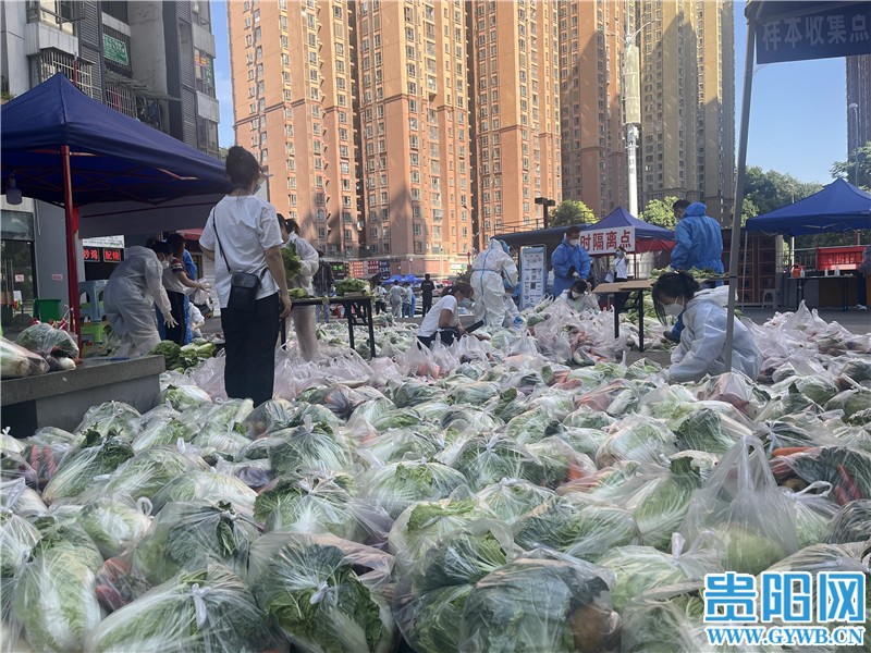 持續(xù)更新 | 直擊花果園物資分發(fā)
