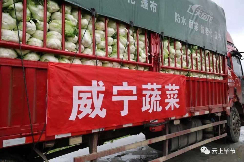 保供貴陽抗擊疫情，他們在積極行動！