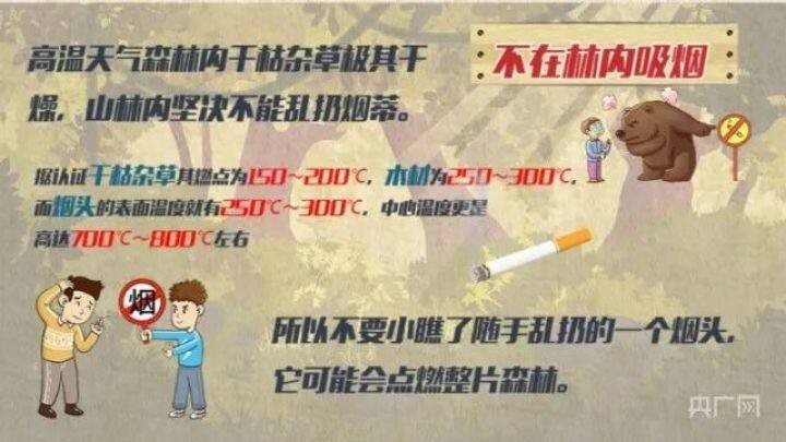 高溫干旱，多地山火！這些一定要注意！