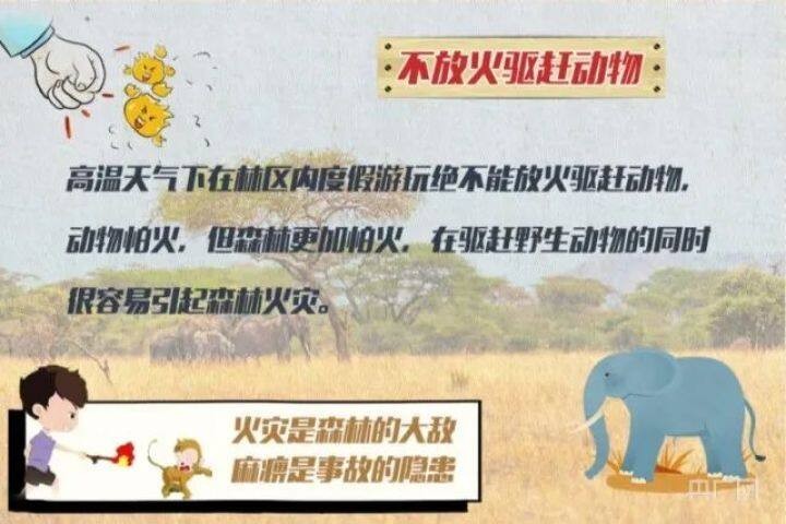 高溫干旱，多地山火！這些一定要注意！