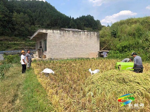 世昌街道：“六個(gè)到位”筑牢森林防火墻