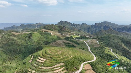 瓦溪鄉(xiāng)巖桑壩村：“野”果子變“家”產(chǎn)業(yè) 5000畝野生獼猴桃進(jìn)入采摘期