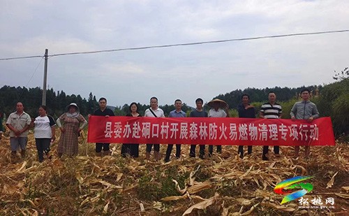 縣委辦赴聯(lián)系幫扶村開展森林防火易燃物清理專項行動