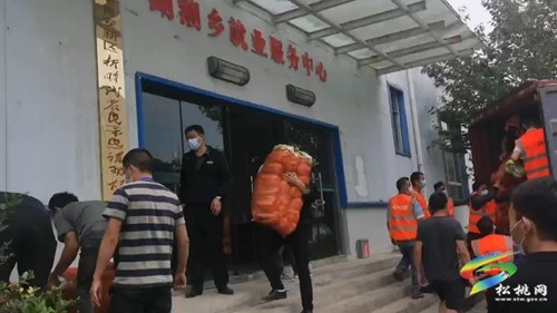 松桃捐贈貴陽的抗疫物資已收到 已有序發(fā)放