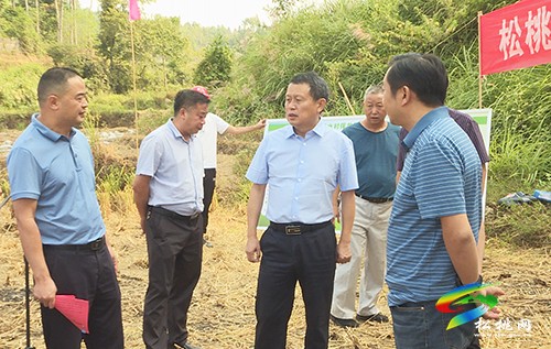 松桃舉行2022年高標(biāo)準(zhǔn)農(nóng)田建設(shè)項目（一期）集中開工儀式