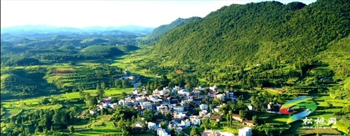 松桃：四新舉措繪就鄉(xiāng)村新畫卷