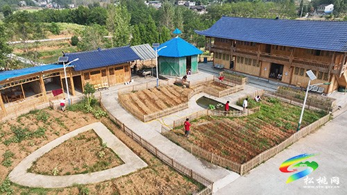 【和諧幸福新松桃】大路鎮(zhèn)：暖心餐廳 托起幸福“夕陽紅”