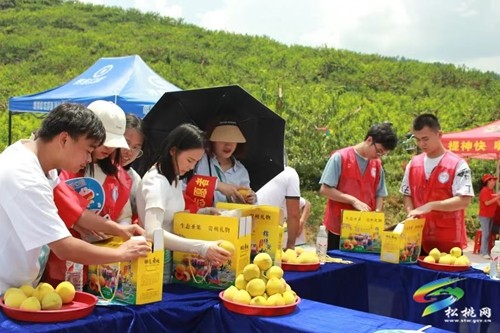松桃：強(qiáng)村富民產(chǎn)業(yè)跑出“加速度”