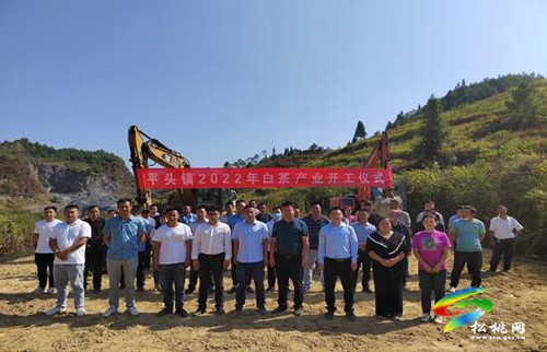 平頭鎮(zhèn)舉行2022年白茶產(chǎn)業(yè)開工儀式