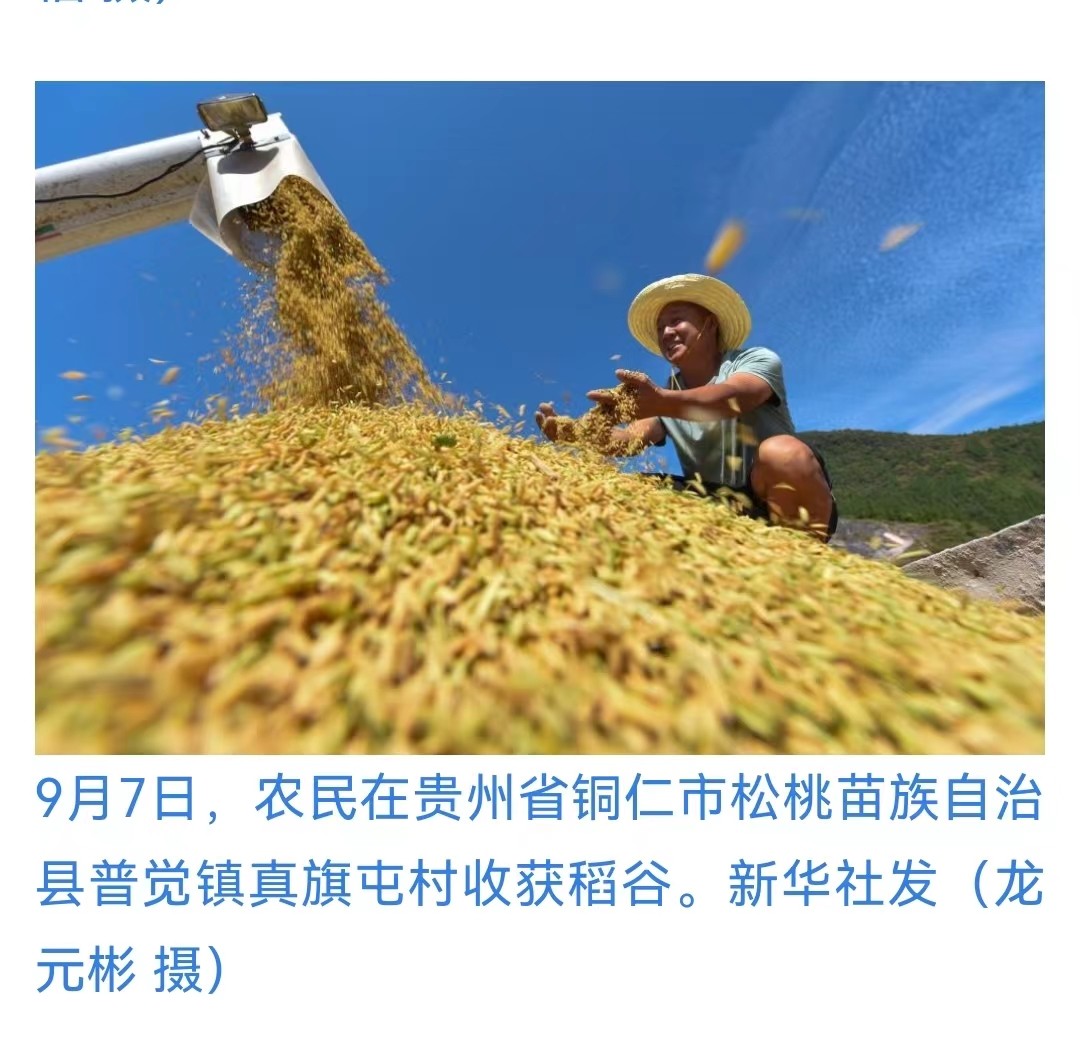 外媒看松桃 | 新鮮出爐！松桃1至9月外宣成績單來啦！?